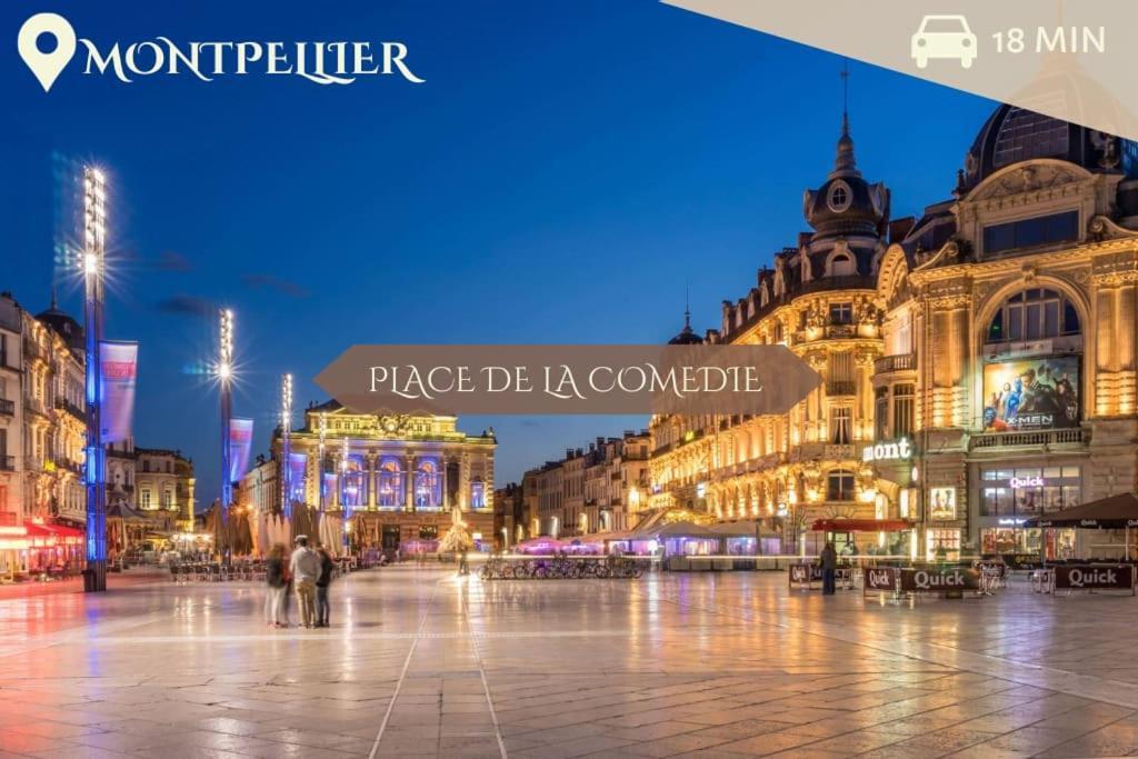 016- T2 Tropisme, Appart 1 Chambre,Clim,Wifi,Parking Montpellier Eksteriør billede